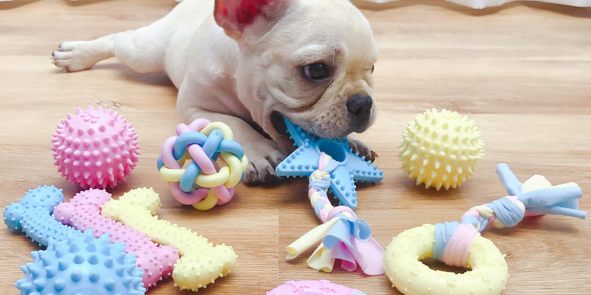 What type of toys do dogs prefer? FunniPets