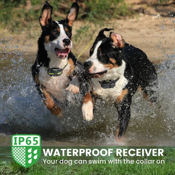 [TrainerPro] Remote Dog Training Collar Free Shipping FunniPets