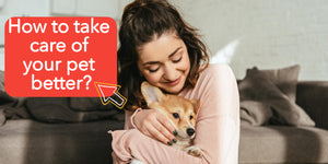 How to take care of your pet better?