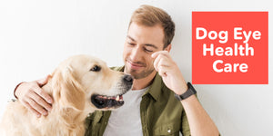 Dog Eye Health Care