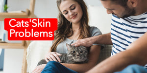 Cat's Skin Problems