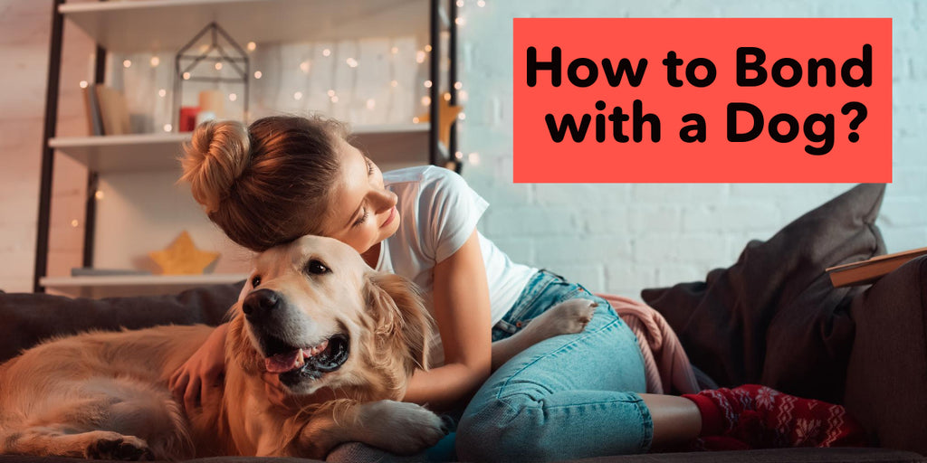 How to Bond with a Dog?