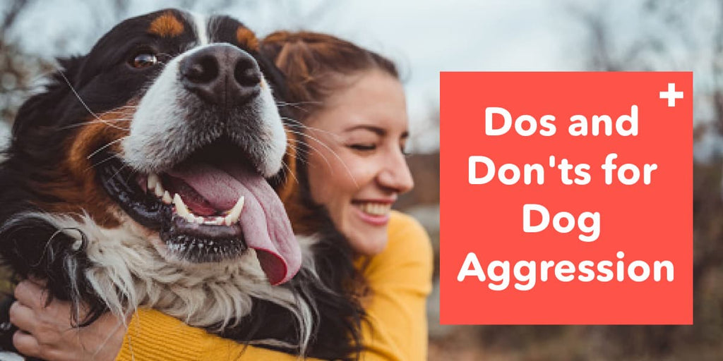 Dos and Don'ts for Dog Aggression