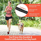 Hands-Free Dog Leash with Double Padded Handles and Strong Bungees