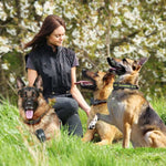 [TrainerPro] Dog Training Collar with Remote for 2 Dogs